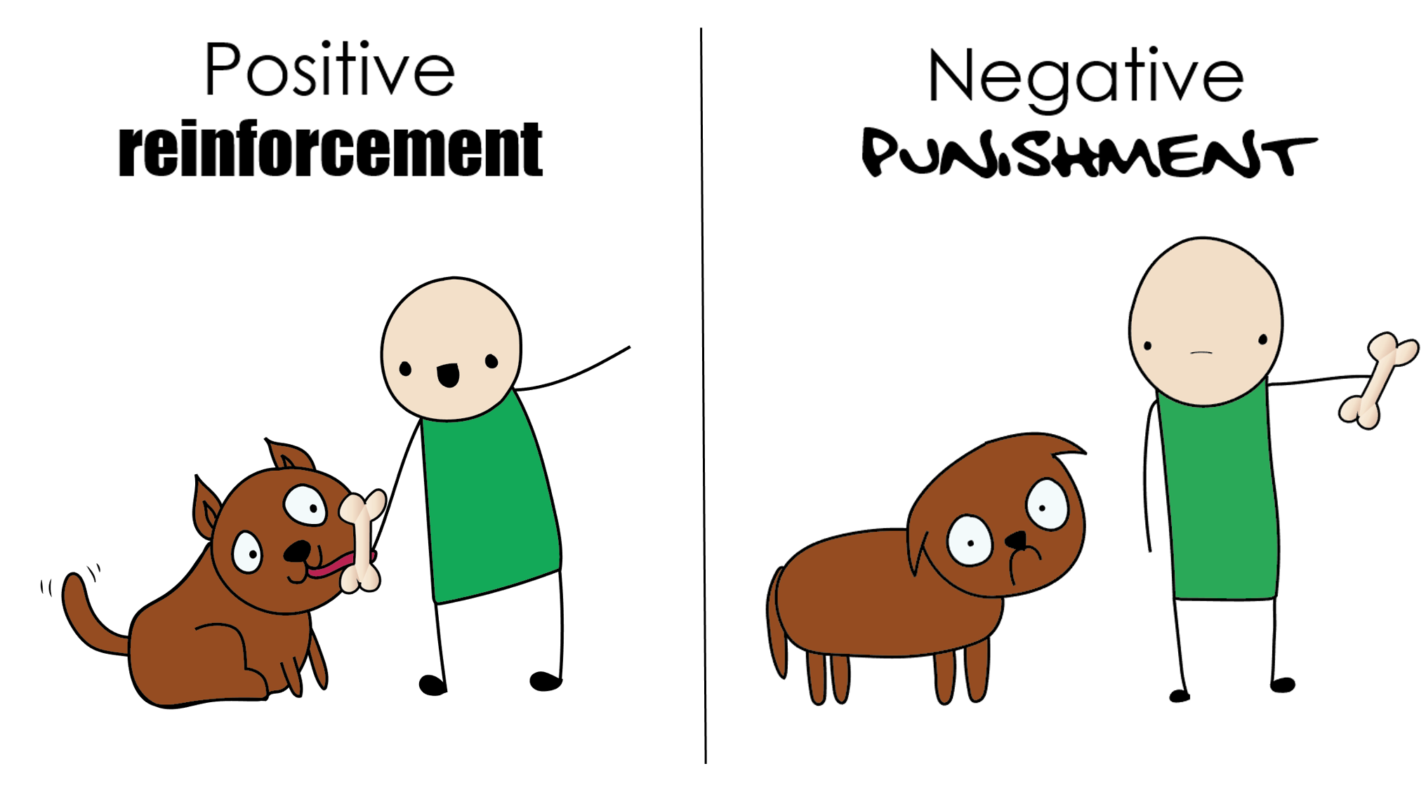 how is negative reinforcement different from punishment in dogs