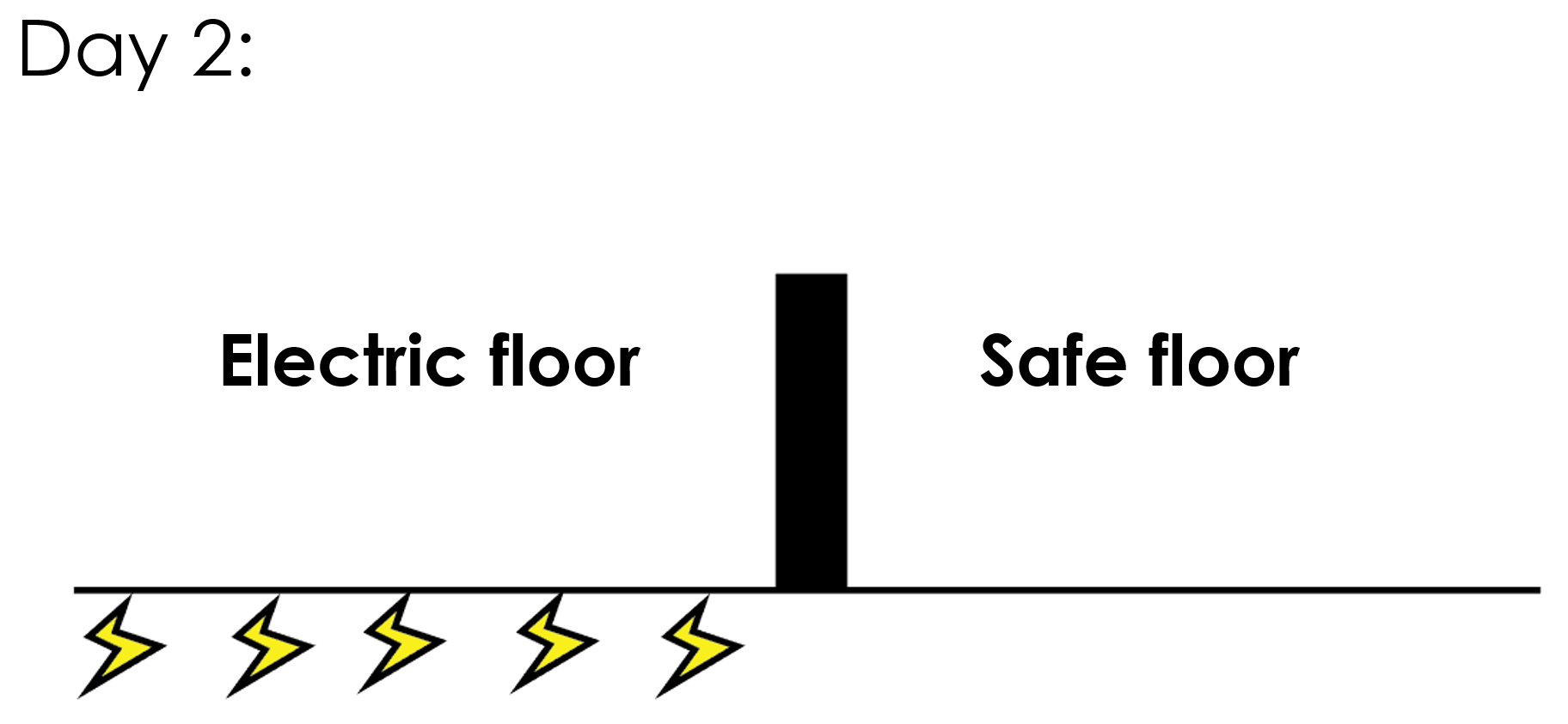 Electric vs non electric floor