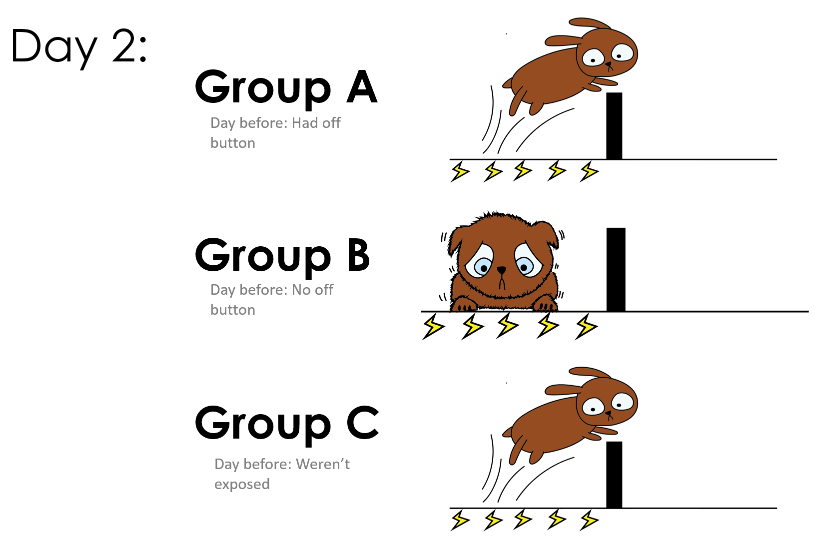Illustration of how each different group behaved on electric floor
